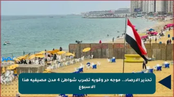 تحذير الأرصاد.. موجة حر وقوية تضرب شواطئ 4 مدن مصيفية هذا الأسبوع